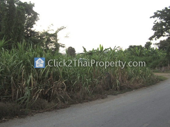 ขายที่ดินปทุม คลอง 4 เนื้อที่รวม 123-2-3 ไร่ (2 แปลงติดกัน)