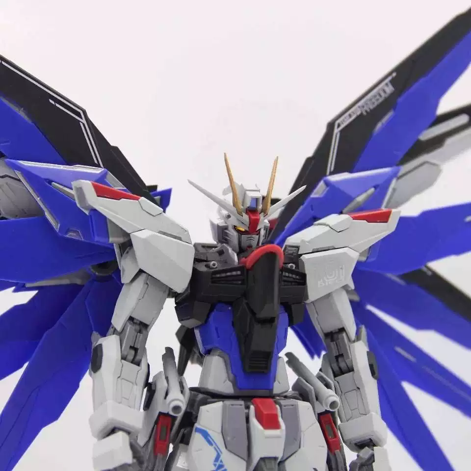 PRE-ORDER 1/100 FREEDOM FIGTHER [SV model]