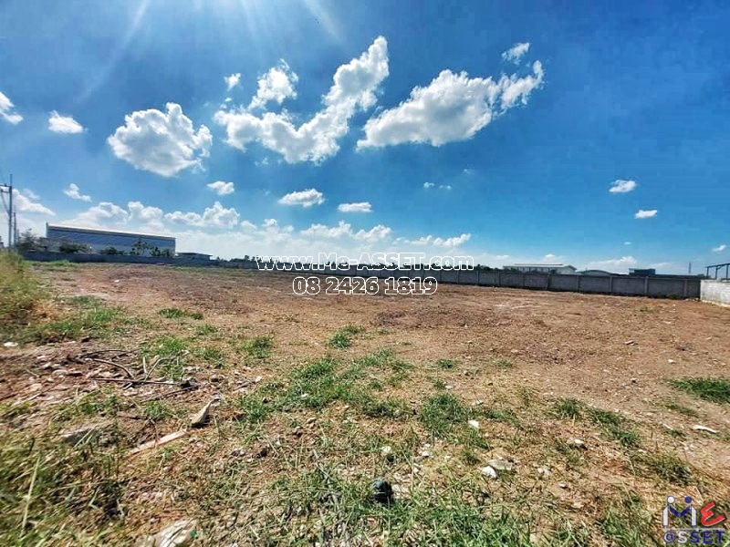 ขายที่ดินถมแล้ว ติดถนน ย่าน บ้านคลอง หน้าไม้ ลาดหลุมแก้ว ปทุมธานี : ใกล้ อบต.หน้าไม้ : 200 ตารางวา มี 6 แปลงติดกัน