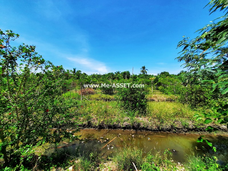 ขายที่ดินเกษตร สวนผสม ถ.บ้านวังนกไข่ ต.หนองนกไข่ อ.กระทุ่มแบน สมุทรสาคร / พื้นที่ 9-1-53 ไร่