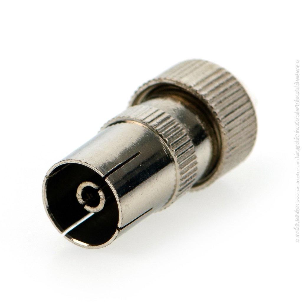 ปลั้กเหล็กตัวเมีย