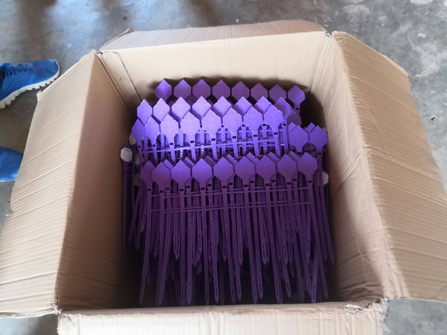 คูหาเลือกตั้ง