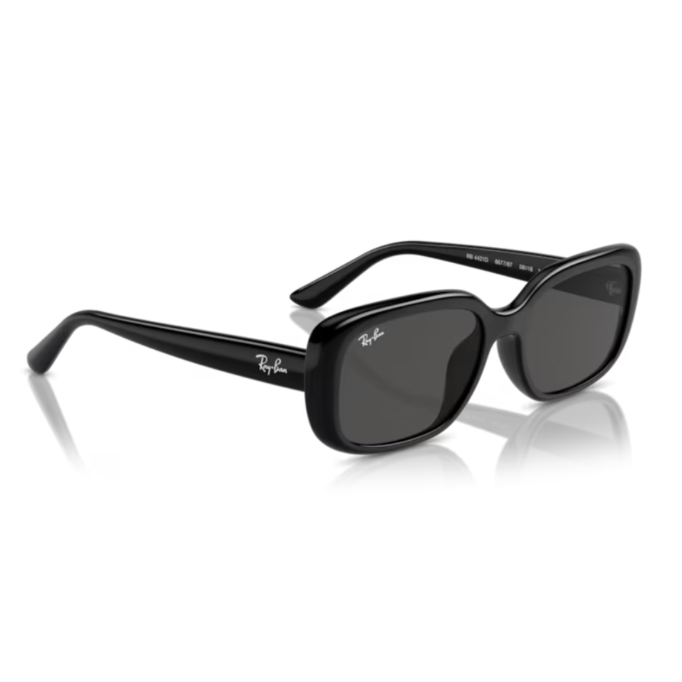 แว่นกันแดด Ray-Ban RB4421D 6677/87 สีดำ
