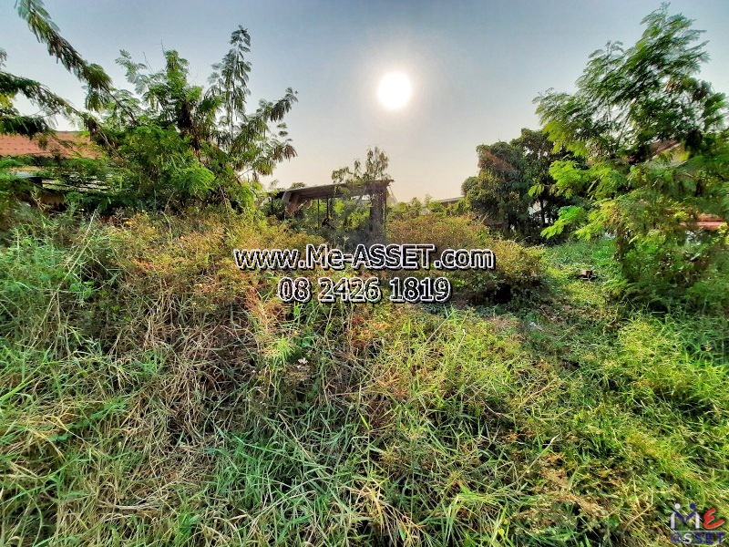 ขายที่ดินเปล่า ย่าน หนองระแหง วัชรพล วงศกร คลองสามวา หทัยราษฎร์ : ใกล้แม็กซ์แวลู่ สาขาหทัยราษฎร์ : 200 ตร.วา