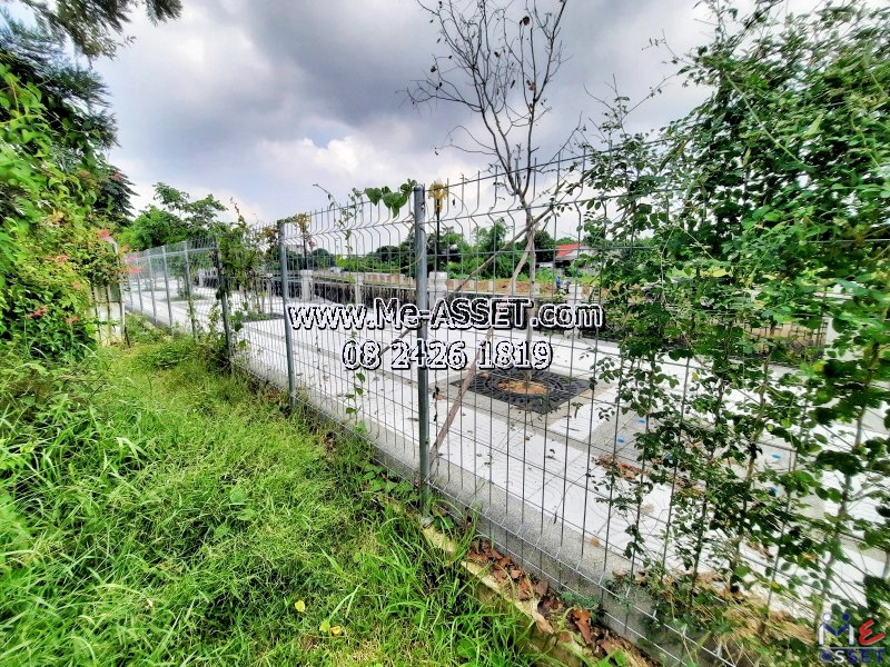 ขายที่ดินพร้อมสิ่งปลูกสร้าง ย่าน สวนตะไคร้ สนามจันทร์ พระปฐมเจดีย์ เซ็นทรัลนครปฐม : ใกล้มหาวิทยาลัยศิลปากร : 1.5 ชั้น 197 ตร.วา