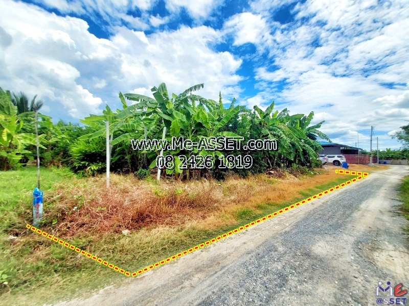 ขายที่ดินถมแล้ว โซนสวนหลวง กระทุ่มแบน เชื่อมเอกชัย บางบอน ใกล้นิคมอุตสาหกรรมสมุทรสาคร โรงงานซีพีเอฟ วัดศรีนวลธรรมวิมล : ซอยทองหลาง1 ใกล้บ้านทรัพย์ธำรงค์สวนวาสนา : 100 ตร.วา