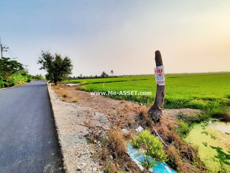 ขายที่ดินเปล่า ถ.บางแก้วฟ้า-ห้วยพลู ต.บางแก้วฟ้า อ.นครชัยศรี นครปฐม / พื้นที่ 15-3-13 ไร่