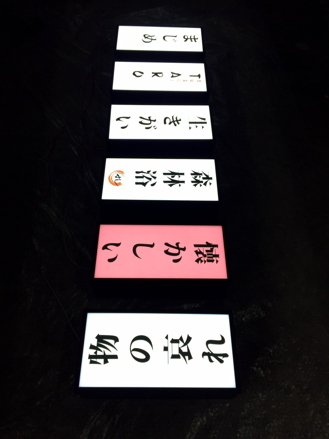 งานป้ายไฟ