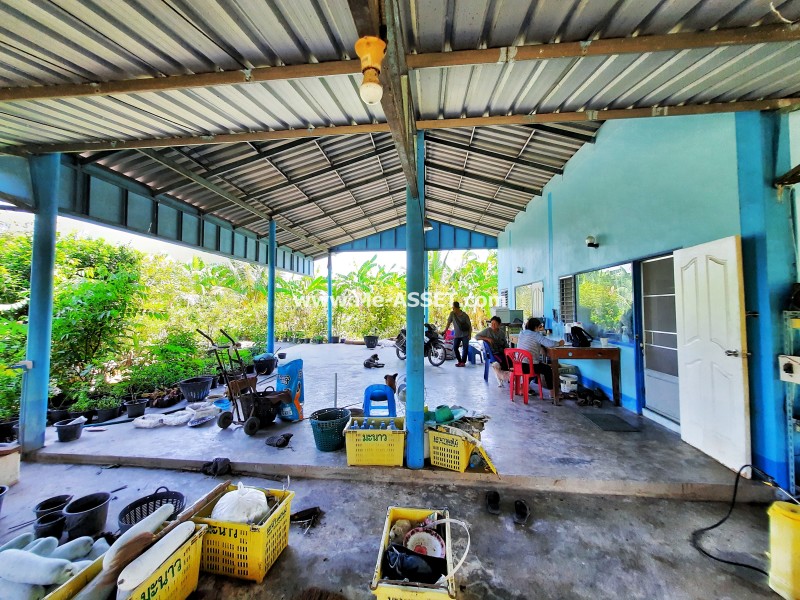 ขายที่ดินเกษตร สวนผสม ถ.บ้านวังนกไข่ ต.หนองนกไข่ อ.กระทุ่มแบน สมุทรสาคร / พื้นที่ 9-1-53 ไร่