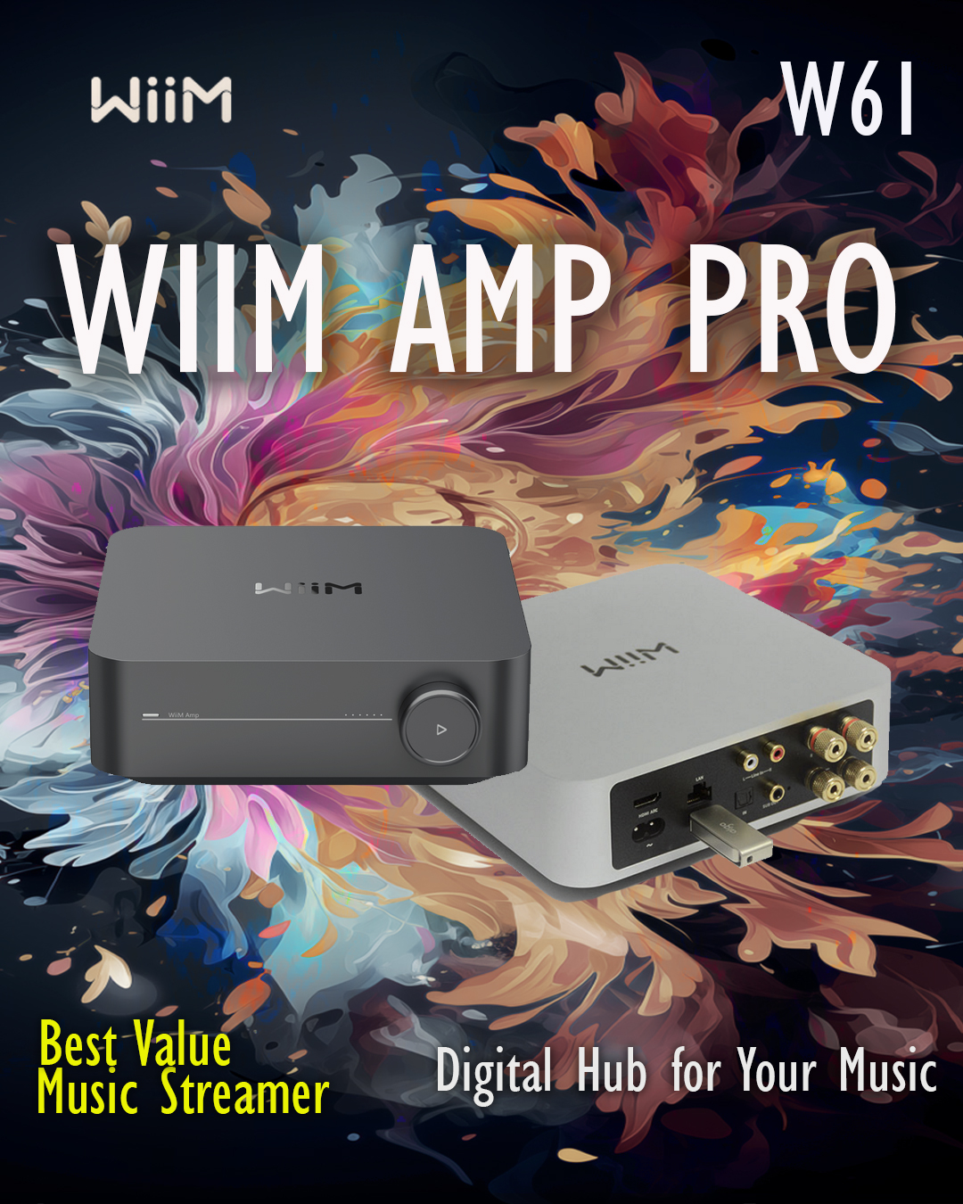 Wiim AMP PRO