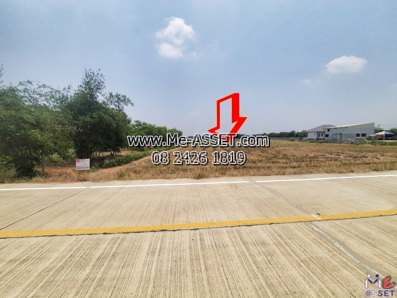 ขายที่ดินติดถนนคอนกรีต ย่าน อบต.ทวีวัฒนา ไทรน้อย บางกรวย บ้านกล้วย-ไทรน้อย นนทบุรี : ใกล้วัดคลองเจ้า : 2-1-42 ไร่