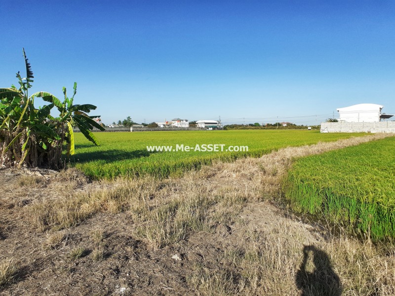 ขายที่ดินเปล่า ถ.พิชัยเขต ต.ศาลากลาง อ.บางกรวย นนทบุรี ใกล้ ม.มหิดล / พื้นที่ 5 ไร่