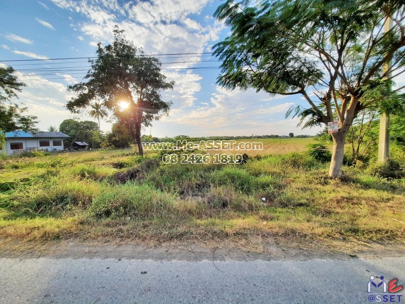 ขายที่ดินเกษตร ย่าน ไร่รถ หนองนา จิกรากข่า หนองแจง ดอนเจดีย์ อำเภอเมือง สุพรรณบุรี : ใกล้ อบต.ไร่รถ : 13 ไร่