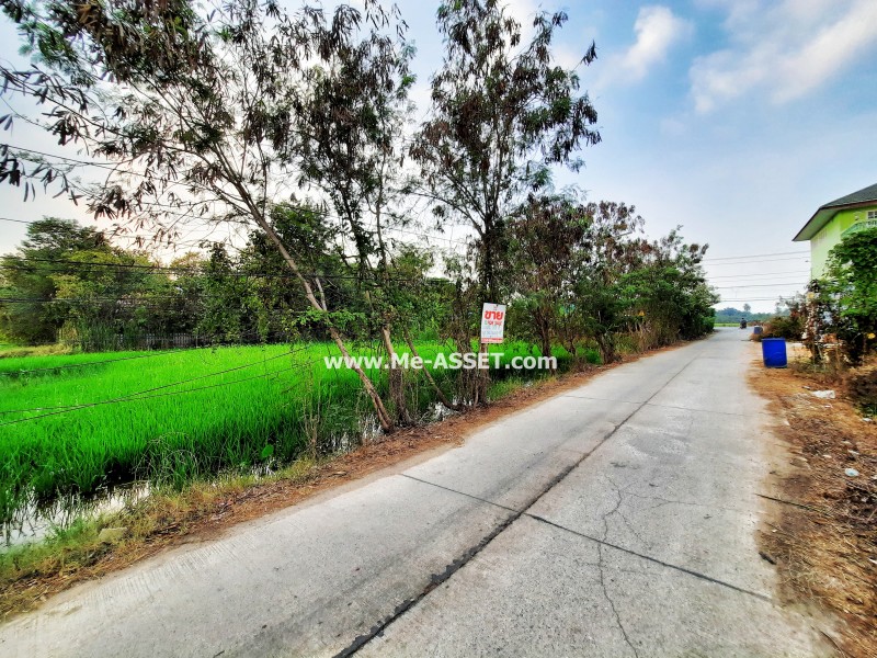 ขายที่ดินเปล่า ถ.ศาลายา-นครชัยศรี (งิ้วราย ซ.4) ต.งิ้วราย อ.นครชัยศรี นครปฐม / พื้นที่ 178 ตารางวา