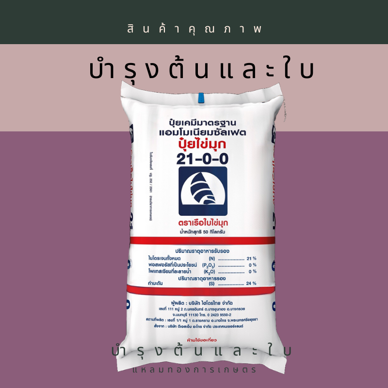 21-0-0 เกร็ด เรือใบไข่มุก