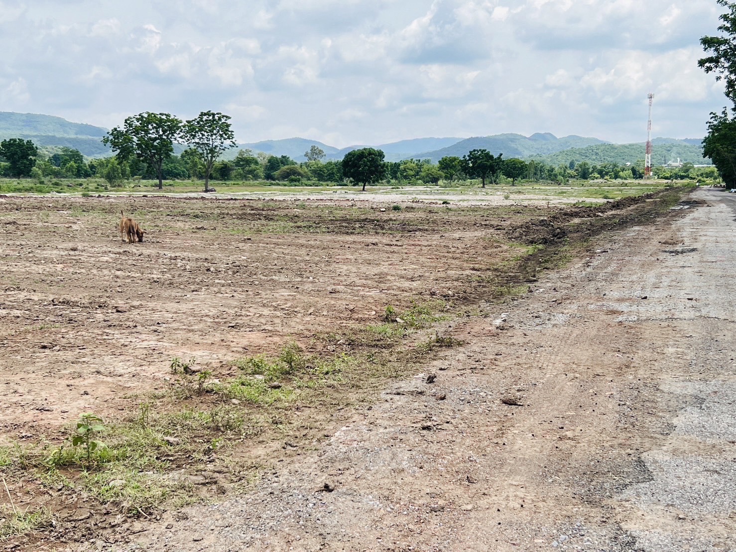 ขายที่ดินราคาถูก วิวสวยเนื้อที่ 87 ไร่ 2 งาน 45 ตารางวา หน้ากว้างติดถนนลาดยาง 580 เมตร สนใจซื้อที่ดิน ที่ดินเปล่า อสังหาทรัพย์เพื่อการลงทุน