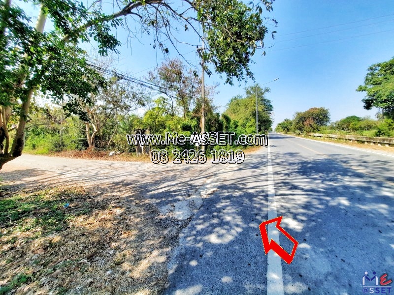 ขายที่ดินเปล่า ย่าน คลอง13 หนองงูเหลือม หนองสามวัง หนองเสือ ปทุมธานี : ใกล้ไพลินพันธุ์ไม้ ซ.อู่ช่างลี : 150 ตร.วา