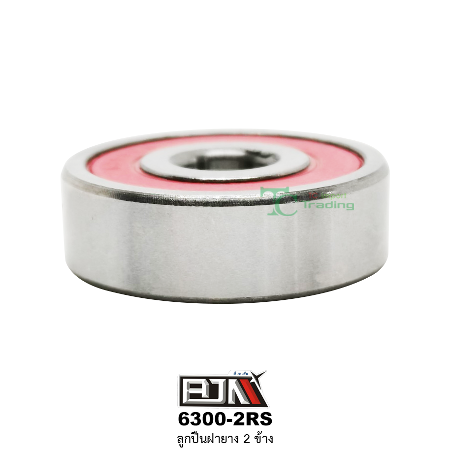 6300-2RS ลูกปืนฝายาง 2 ข้าง