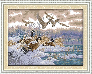 Snow birds (ไม่พิมพ์/พิมพ์ลาย)