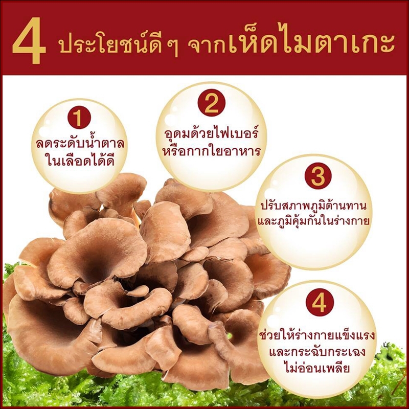 หลินจือซัน Lingzhi Sun (3 กล่อง180 แคปซูล) ผลิตภัณฑ์เสริมอาหาร บำรุงร่างกาย เห็ดหลินจือสกัด