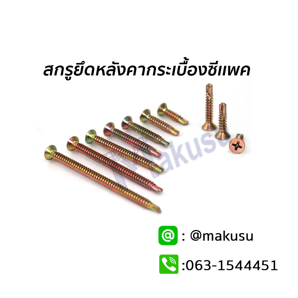 สกรูยึดหลังคากระเบื้องซีเเพค ปลายสว่าน สกรูยึดหลังคาคอนกรีต สกรูยึดหลังคาเซรามิค มี 13 ขนาด