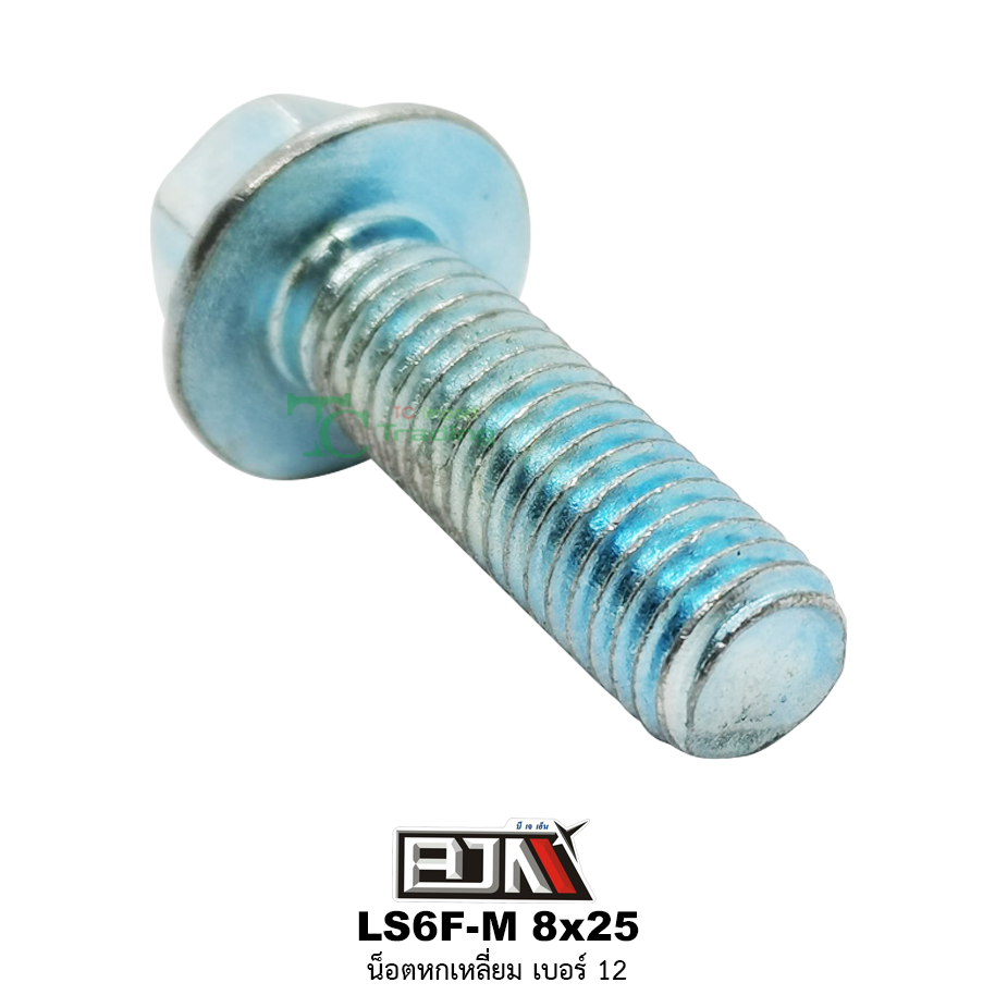 LS6F-M 8x25 น็อตหกเหลี่ยมเบอร์ 12 ( 1 ถุงมี 50 ตัว )