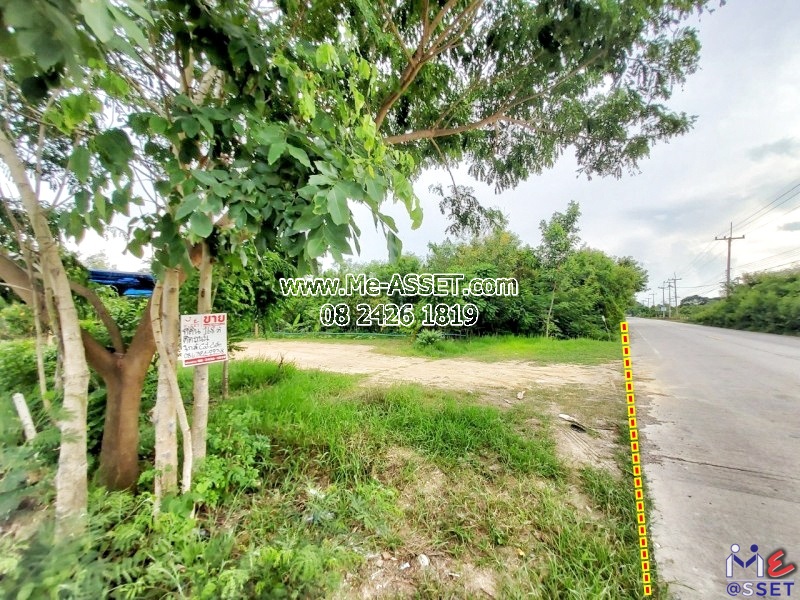 ขายที่ดินถมแล้ว ย่าน วัดมะเกลือ บางแก้วฟ้า คลองโยง ห้วยพลู ลานตากฟ้า : ใกล้คาเฟ่แมว Play With Cat Cafe : 168 ตร.วา