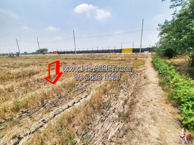 ขายที่ดินติดถนนคอนกรีต ย่าน อบต.ทวีวัฒนา ไทรน้อย บางกรวย บ้านกล้วย-ไทรน้อย นนทบุรี : ใกล้วัดคลองเจ้า : 2-1-42 ไร่