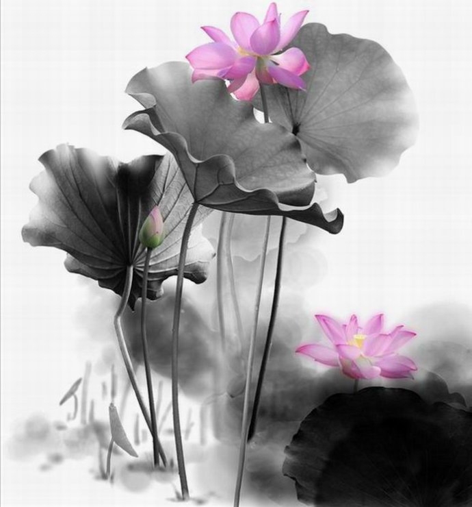 ชุดภาพติดคริสตัลกลม ลายบึงบัว 1 (งานติดเต็มภาพ) ขนาด 36*36 ซม. คริสตัลกลม 25 สี อุปกรณ์ครบชุด