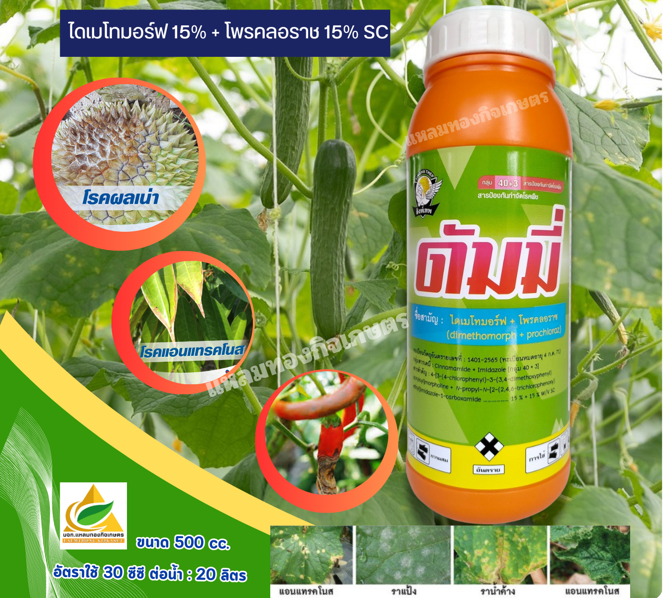 ดัมมี่ สารป้องกันกำจัดโรคพืช (กำจัดโรคราน้ำค้าง) ตรา สิงห์เทพ 500 cc.