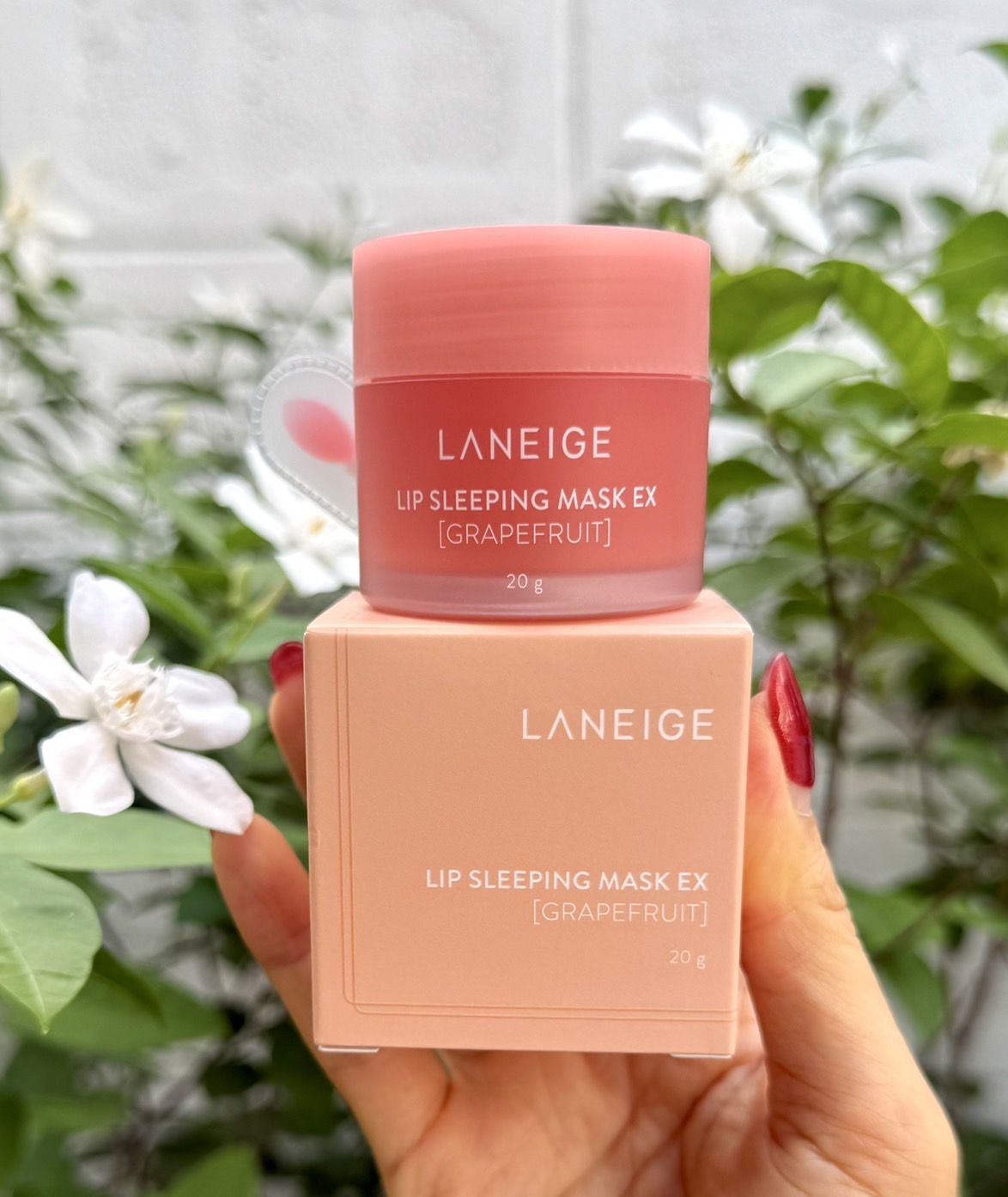 Laneige Sleeping Mask 20g. #Grapefruit มาส์กริมฝีปาก กลิ่นเกรฟฟรุต