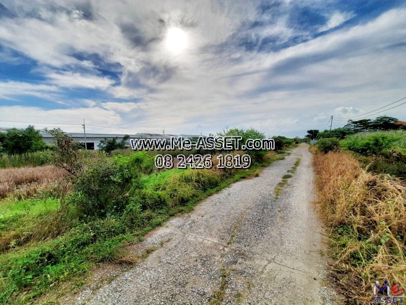 ขายที่ดินเปล่า ย่าน บึงทองหลาง ลำลูกกา คลอง11 : ใกล้บริษัท กิตติ แมนูแฟคเจอร์ริ่ง จำกัด : 3 ไร่ (แปลงละ 1 ไร่ มี 3 แปลงติดกัน / ราคาต่อแปลง / ราคาแต่ละแปลงไม่เท่ากัน)