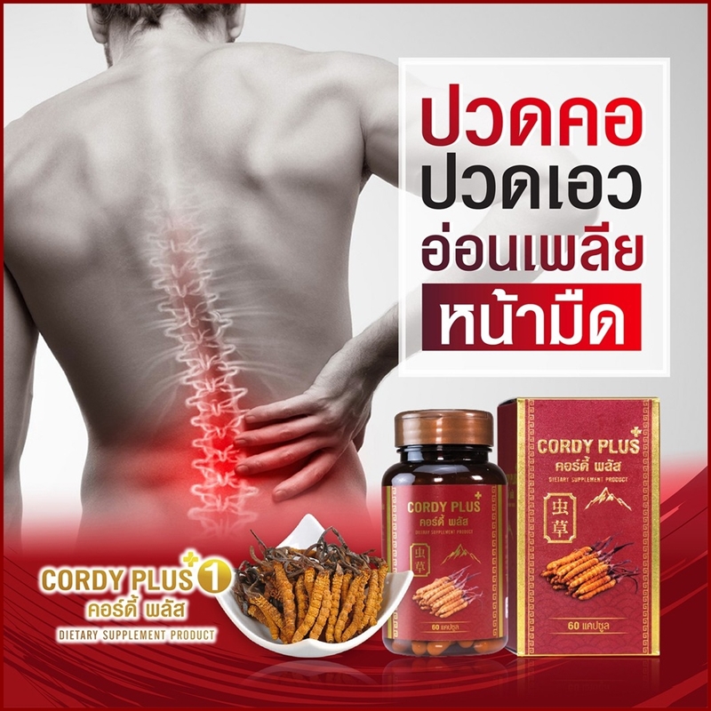 คอร์ดี้ พลัสวัน (Cordy Plus1) ถั่งเช่าทิเบตแท้100% สารสกัดเกรดพรีเมี่ยม ผลิตภัณฑ์เสริมอาหาร บำรุงร่างกาย (60 แคปซูล)