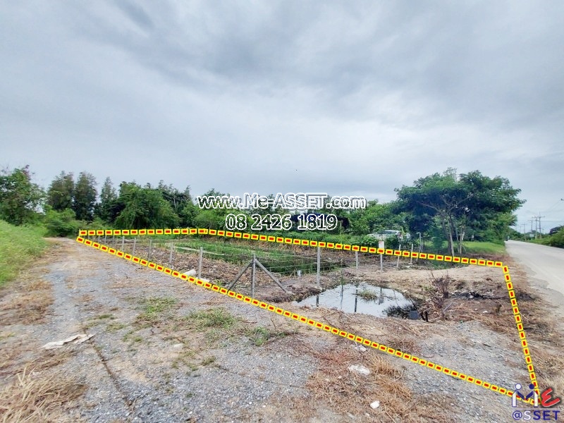 ขายที่ดินเปล่า ย่าน วัดมะเกลือ บางแก้วฟ้า คลองโยง ห้วยพลู ลานตากฟ้า : ใกล้คาเฟ่แมว Play With Cat Cafe : 169 ตร.วา