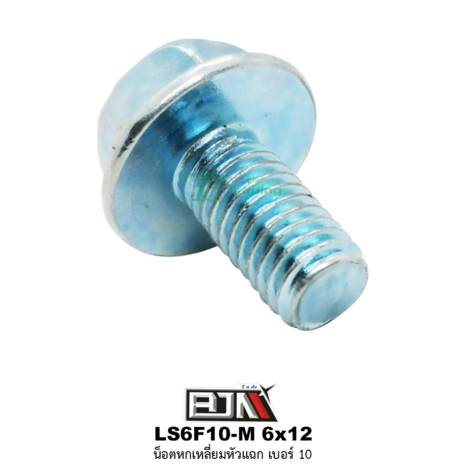 LS6F10-M 6x12 น็อตหกเหลี่ยมหัวแฉกเบอร์ 10 ( 1 ถุงมี 50 ตัว )
