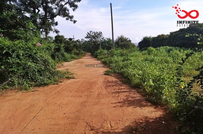 ขายที่ดินเปล่า ซ.ศาลาหมู่บ้านท่าลาดกระดาน ต.วังก์พง อ.ปราณบุรี ประจวบคีรีขันธ์ / พื้นที่ 65.8 ตารางวา