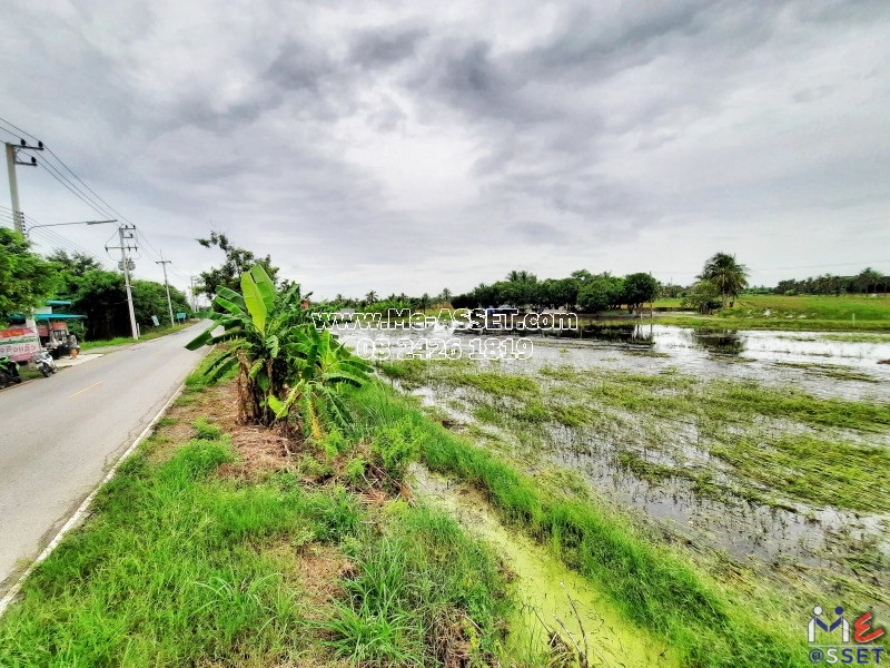 ขายที่ดินเปล่า ย่าน ลานตากฟ้า มหาสวัสดิ์ พุทธมณฑล งิ้วราย ดาวทอง : ใกล้ ม.พฤกษา 8 : เนื้อที่รวม 2 ไร่ แบ่งขายได้