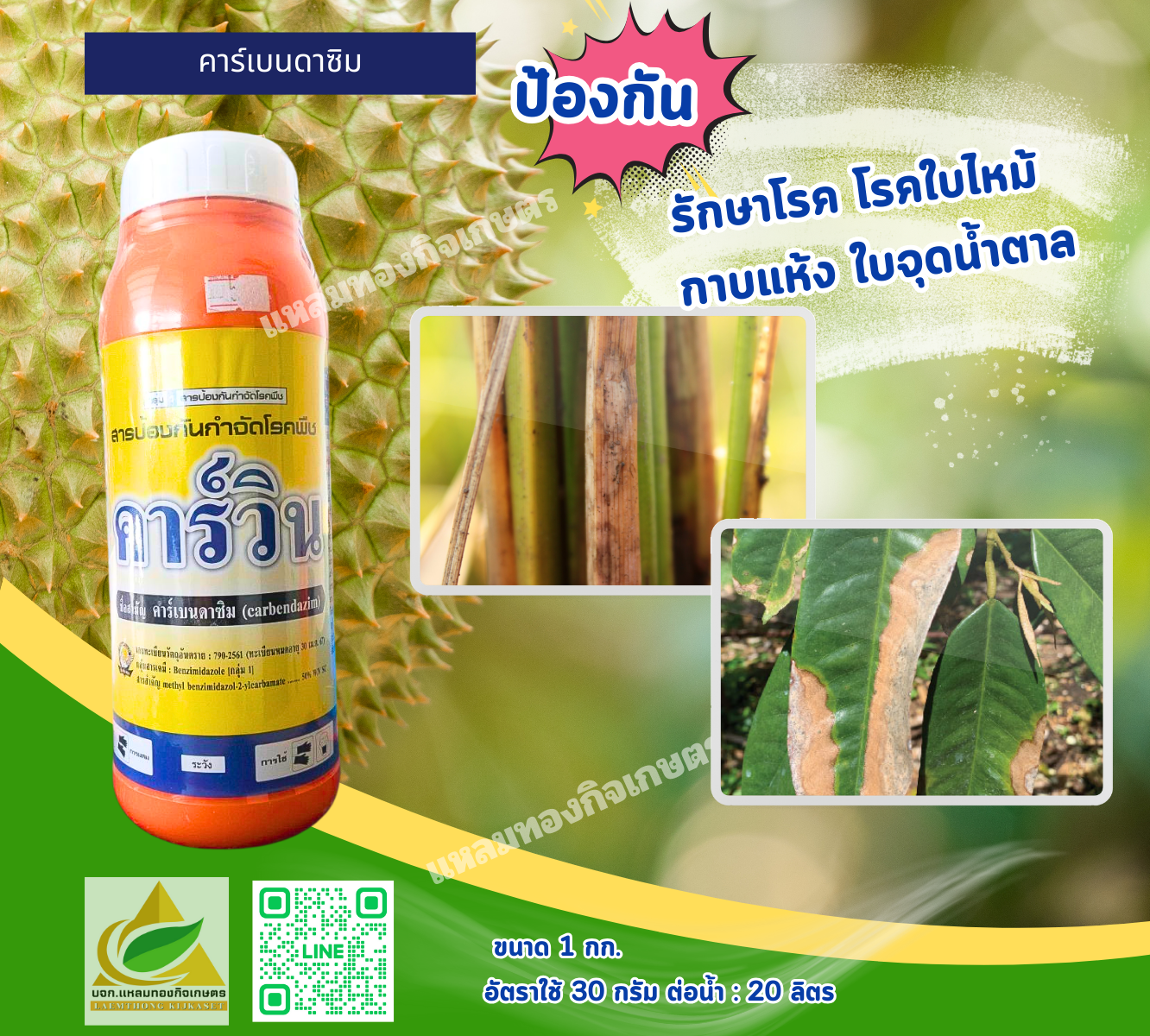 คาร์วิน สารป้องกันกำจัดโรคพืช ป้องกันโรคกาบใบแห้ง ตราสิงห์เทพ 1000 มิลลิลิตร