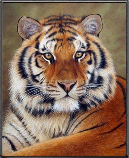 ชุดปักครอสติช ลายเสือ (Tiger)(พิมพ์ลาย)