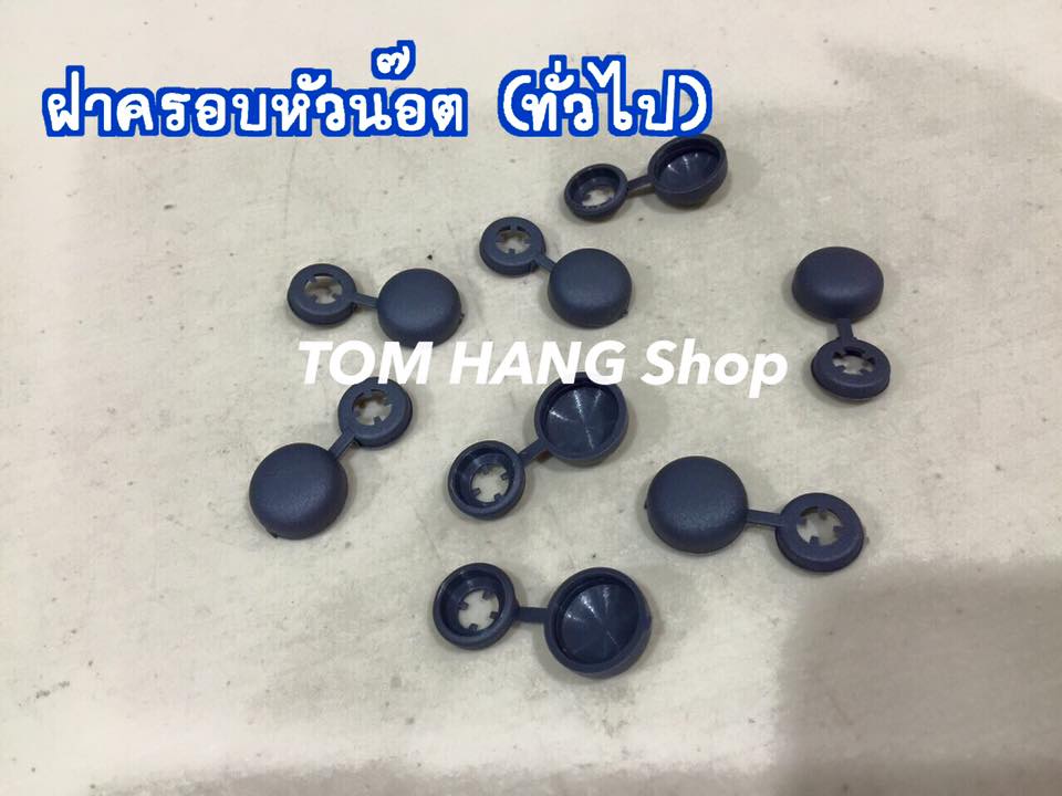 ฝาครอบหัวน๊อต (ทั่วไป)