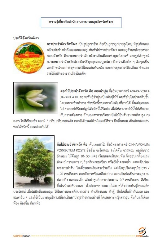 แนวข้อสอบ นักวิชาการเงินและบัญชี สำนักงานสาธารณสุขจังหวัดพังงา