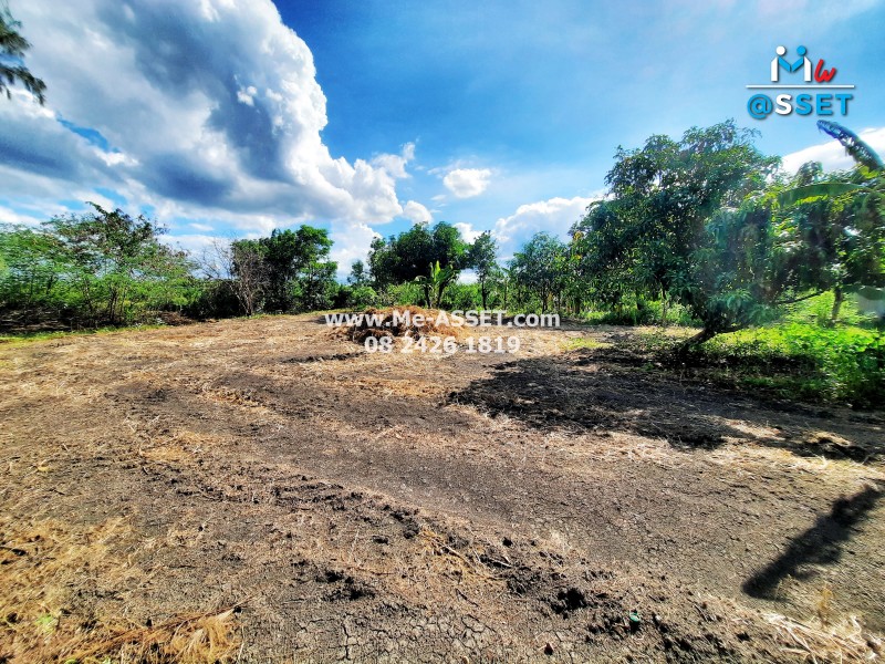 ขายที่ดินพร้อมสิ่งปลูกสร้าง ย่าน วังเย็น บางแขม อำเภอเมืองนคปฐม : ใกล้สนามกอล์ฟยูนิแลนด์ : 2-0-49.2 ไร่