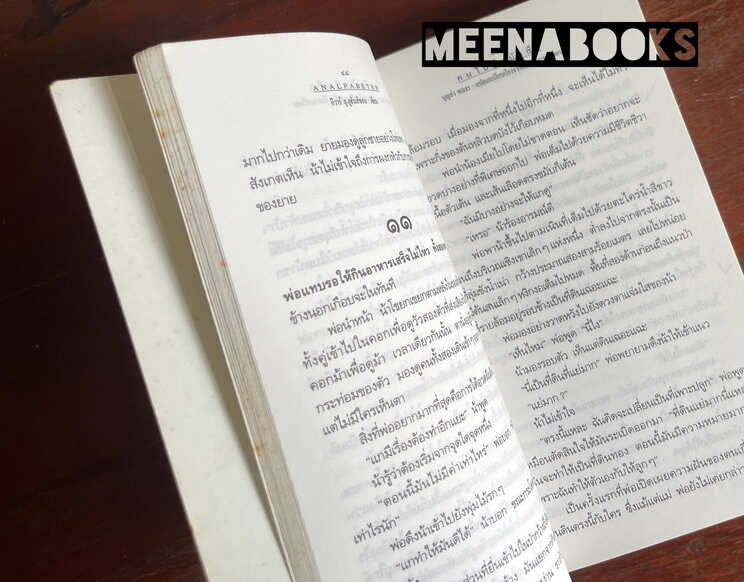 คนไม่รู้หนังสือ (ANALFABETEN)