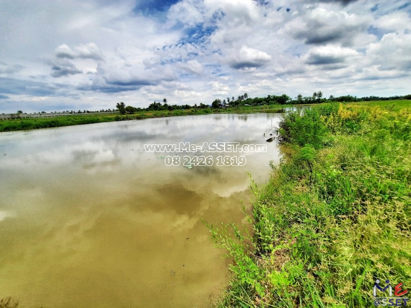 ขายที่ดินเปล่า ย่าน ลานตากฟ้า งิ้วราย มหาสวัสดิ์ : ใกล้ ม.พฤกษา 8 : 5-2-30.5 ไร่