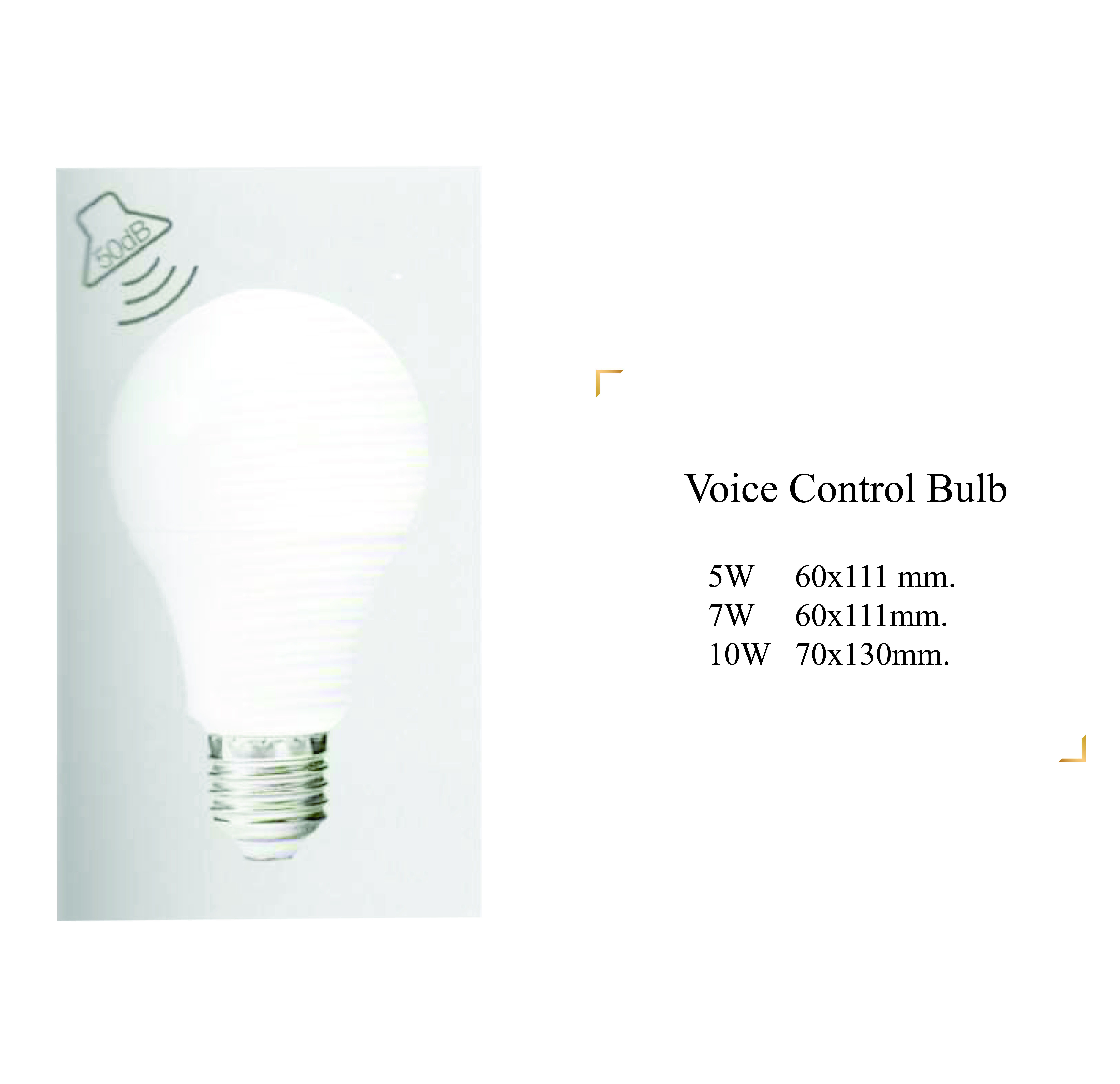 Voice Control Bulb