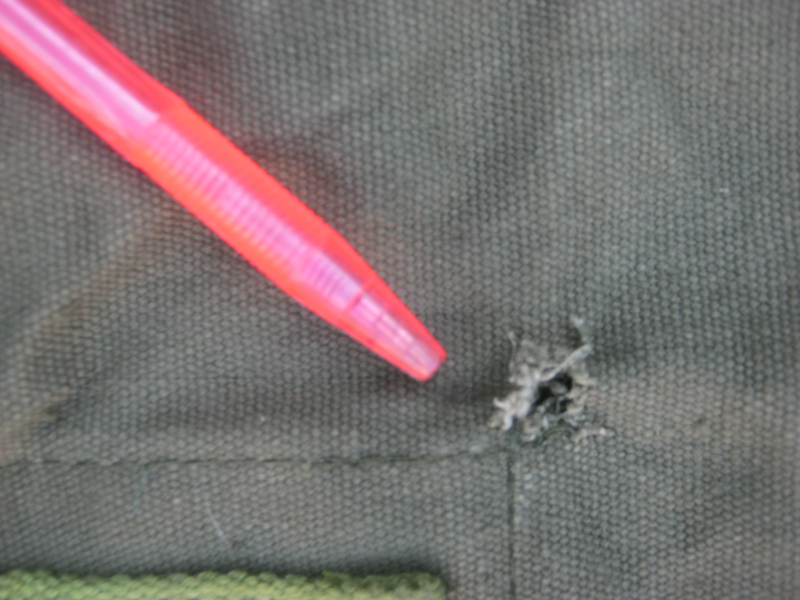 ถุงทะเลยุโรปรุ่นเก่า