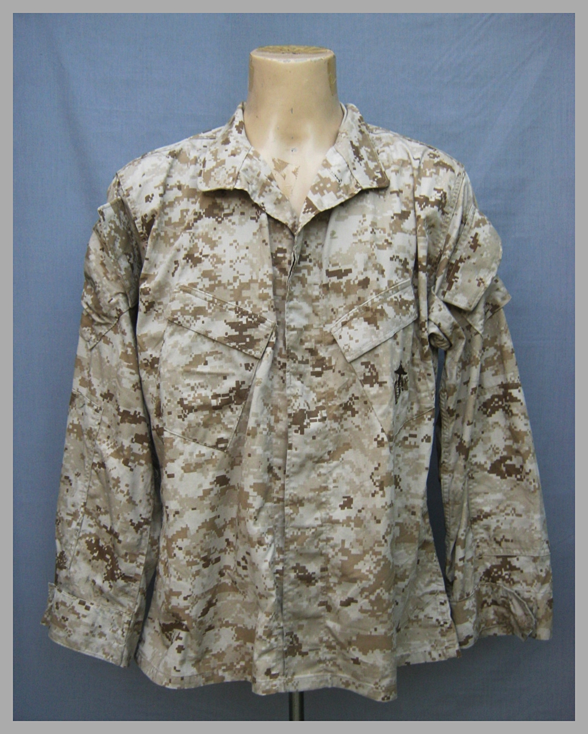 the US Marine Corps