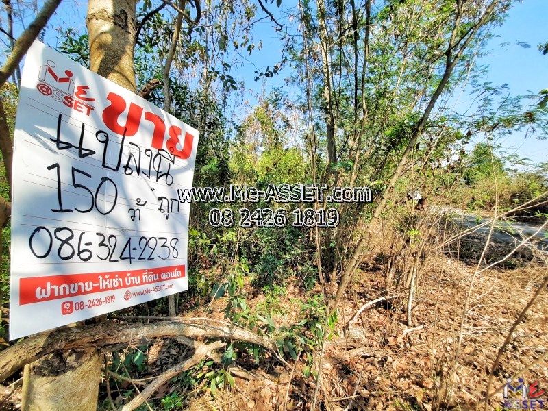 ขายที่ดินเปล่า ย่าน คลอง13 หนองงูเหลือม หนองสามวัง หนองเสือ ปทุมธานี : ใกล้ไพลินพันธุ์ไม้ ซ.อู่ช่างลี : 150 ตร.วา
