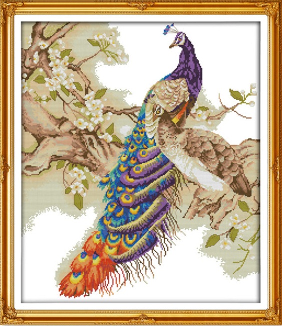 Peacock (ไม่พิมพ์/พิมพ์ลาย)