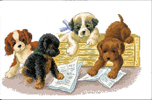 Baby dogs